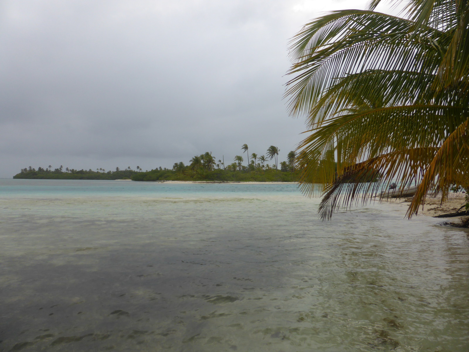 Everywhere you look there are palm trees and islands