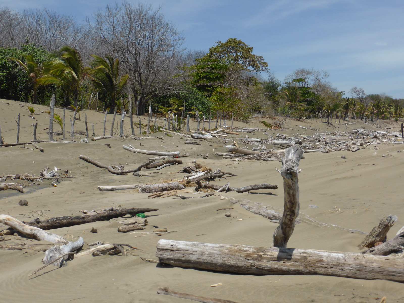 The Peninsula de Azuero is a dry part of the world, and the beaches can feel a bit like deserts