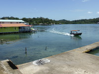 A water taxi arriving in Old Bank