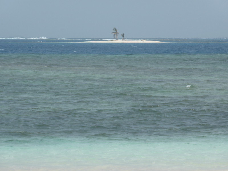 Two-palm island