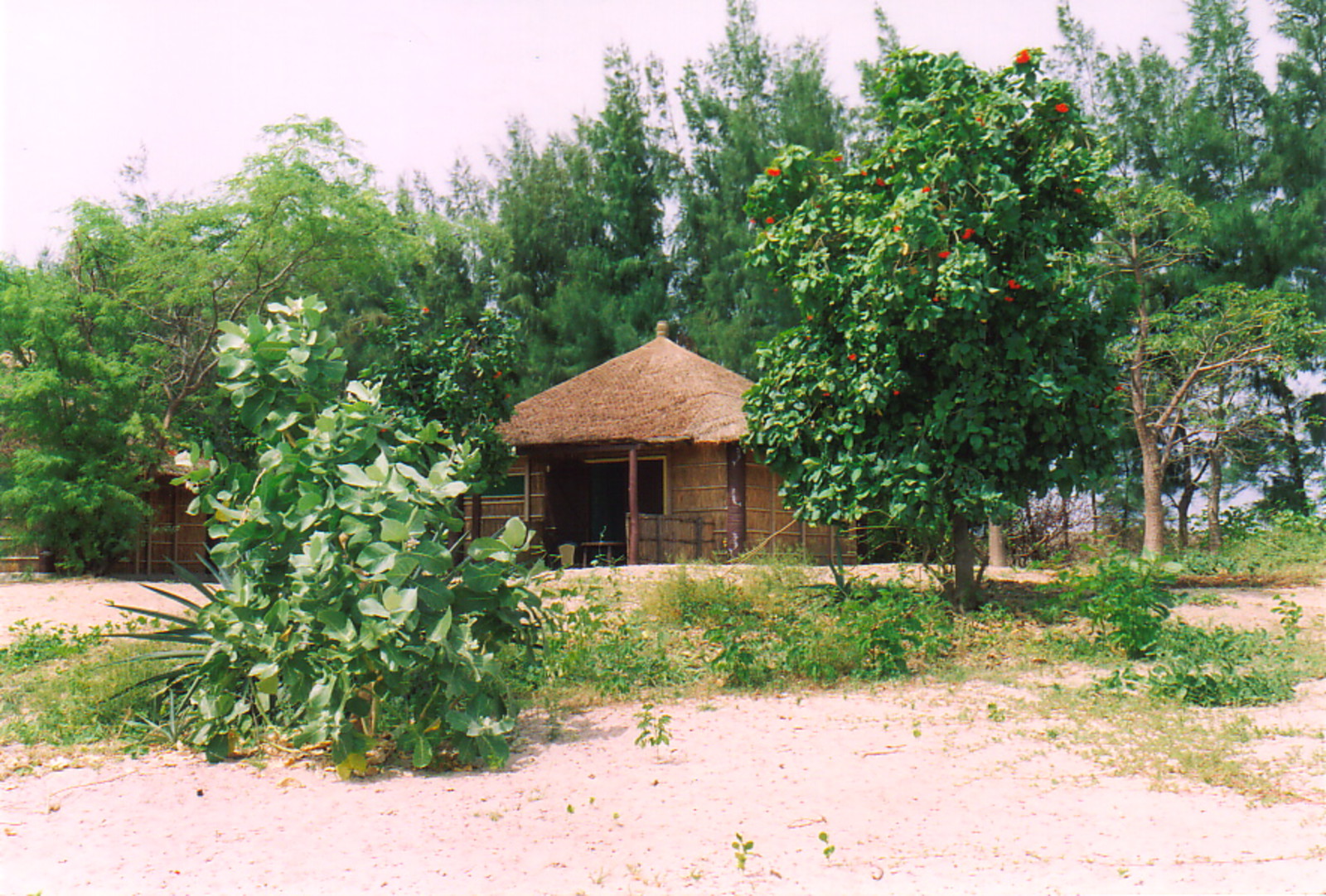 A beach hut in Djiffer