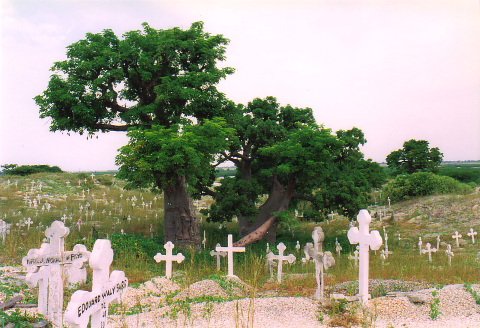A Christian graveyard on Fadiout island