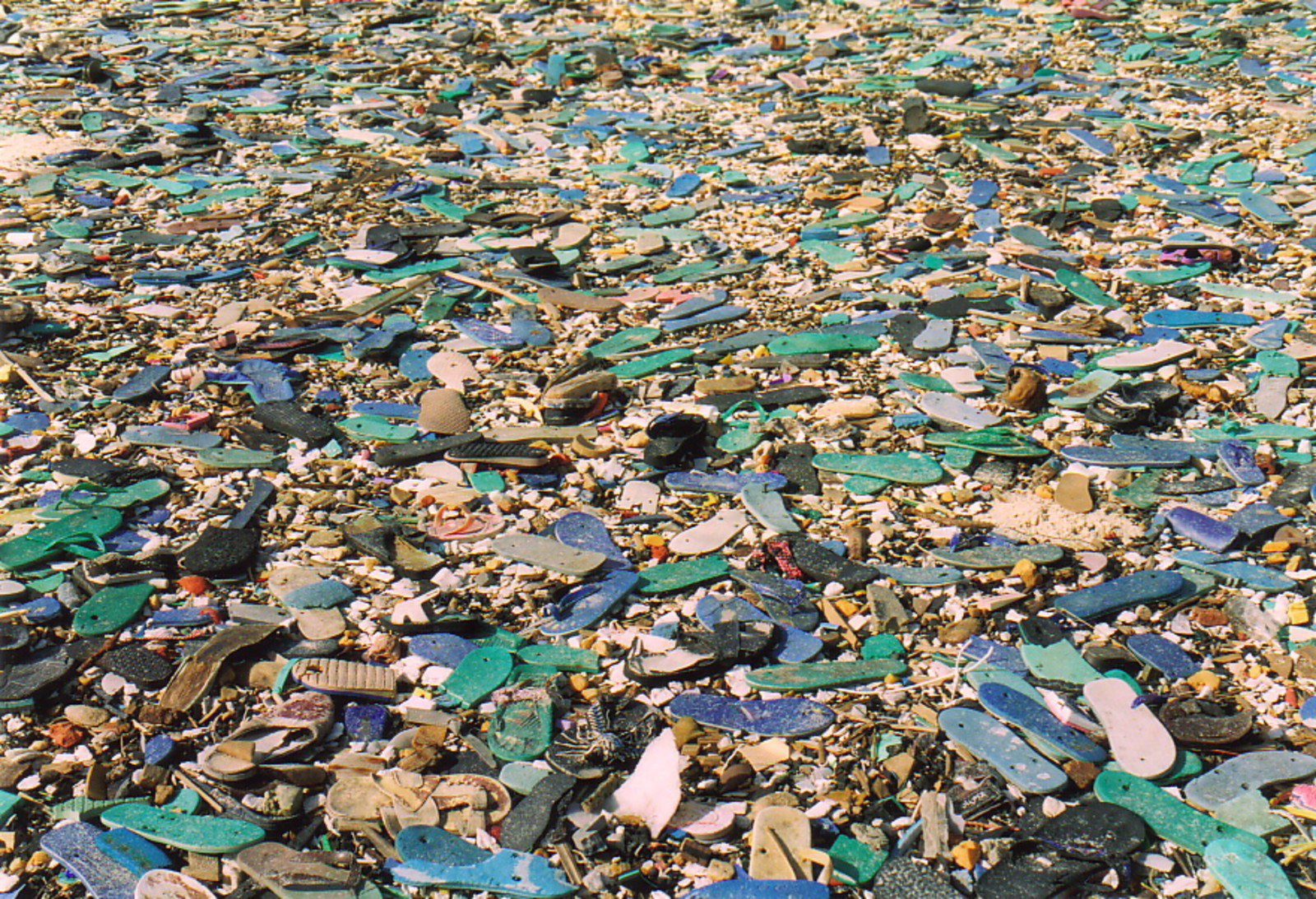 A beach completely smothered in old flip-flops