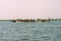 A pirogue in the Siné-Saloum Delta