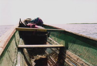 The bows of a pirogue
