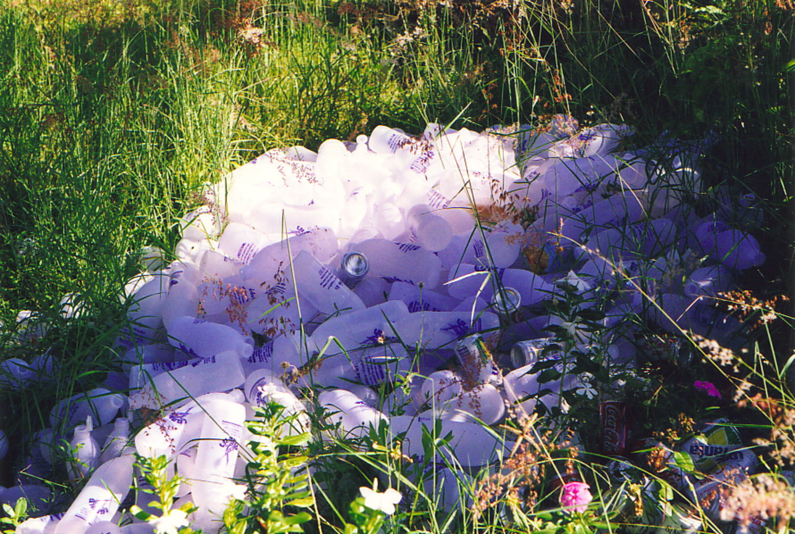 Piles of plastic bottles