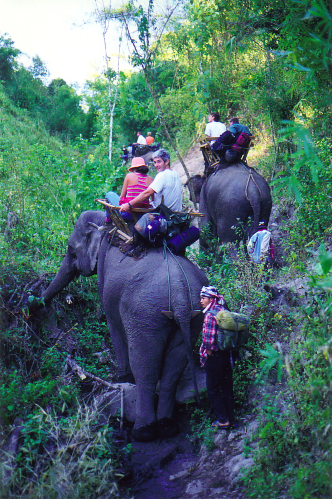 Elephant trekking near Chiang Mai