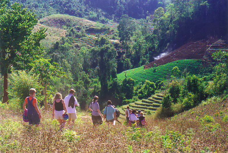 A group trekking through fields