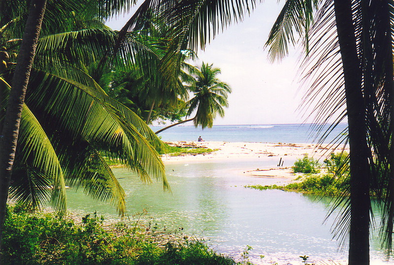 Ko Samui beach scene