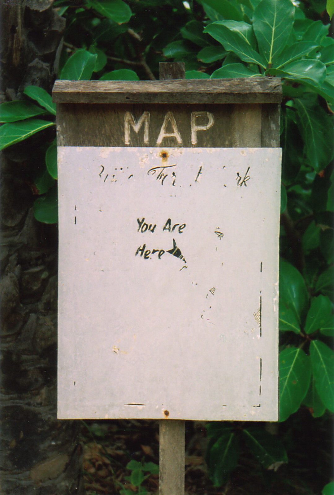 A sign saying 'You Are Here' on a blank map