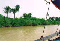 The River Gambia