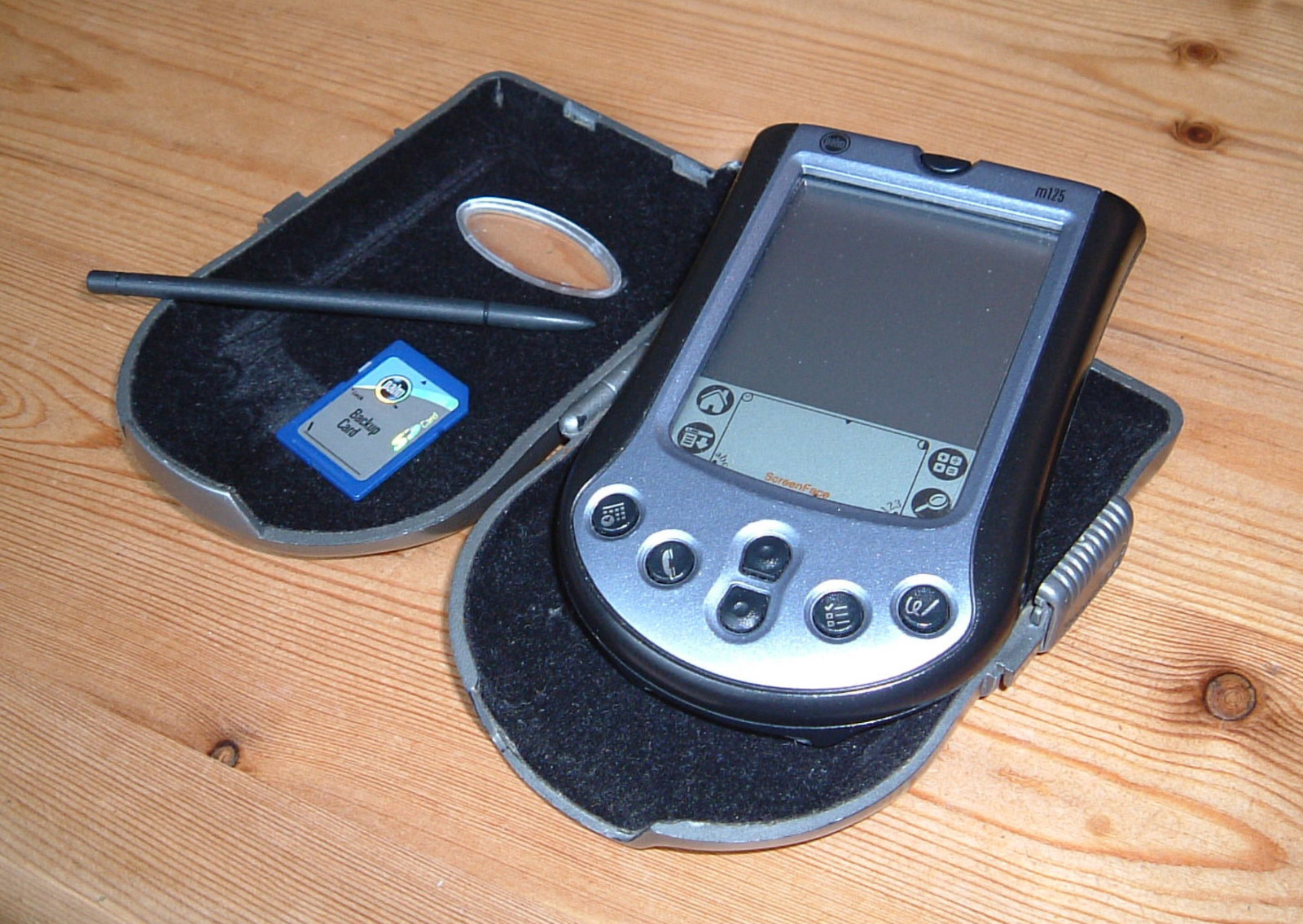 A Palm m125 and case